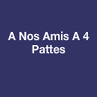 Nos Amis à 4 Pattes