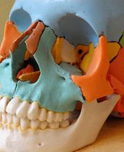 Physiotherapiezentrum zum Hof Bild 9