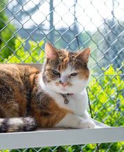 Tierferienheim Fahrhubel GmbH Bild 3