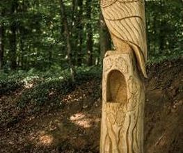 FriedWald Kalletal Bild 5