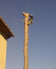 Les Jardins d'Orléna image 1