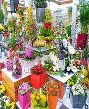 Claudine Fleurs image 3