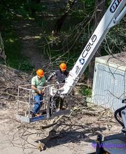 R.Evan Elagage Abattage image 3