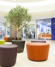 Elbe Einkaufszentrum Bild 3