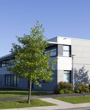 MentalWorks image 10