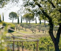 Coquillade Provence image 2