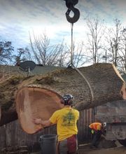 Southern Oregon Tree Care LLC image 2