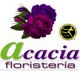 Acacia_Floristeria_Merida_Maribel.jpg