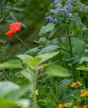 Franz Manser AG Bild 9