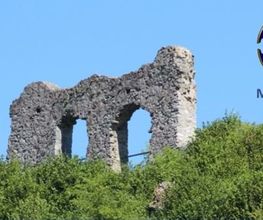 Markt Winzer Bild 2