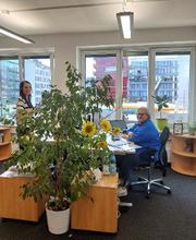 Ein helles Büro in dem 2 Angestellte an ihrem Arbeitsamt sitzen und stehen. Im Raum steht eine große Zimmerpflanze und eine Vase mit Sonnenblumen.