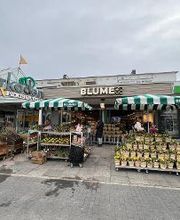 BLUME2000 Kiel Holtenauer Arkaden Bild 1