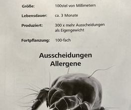 Hyla - Klara Denzler Bild 7