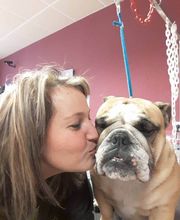 Aux Toutous Choyés image 6