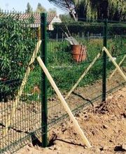 Bouche Nicolas image 19