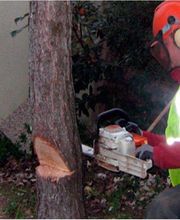 Fanfani SARL image 1