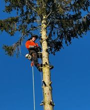 WhatsApp Bild 2025-03-31 um 09.39.36_4135ee2f.jpg