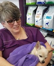 Pawsitive Wellness Veterinary Care LLC image 2