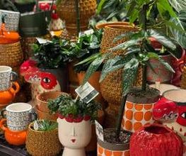 Intratuin Weert Fun potterie