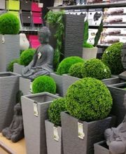 Centrakor Chantonnay image 1