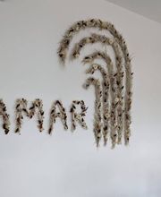 Amar Institut image 3