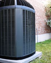 My Honey Can Do, Inc image 4