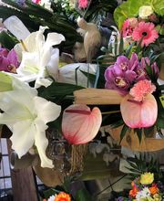 Fleurs d'Amandine image 16