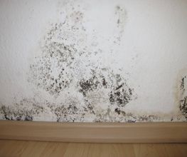 Lugon Assèchement Sàrl Bild 2