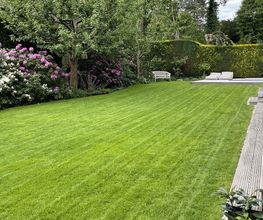 Baum- und Gartenpflege Schifelbein GmbH