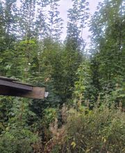 IMG-20251007-WA0035.jpg