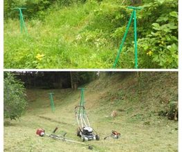 D.L Espaces Verts image 6