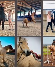 Materna Daniela Bild 2