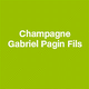 Champagne Gabriel Pagin Fils