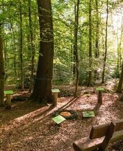 FriedWald Kalletal Bild 9