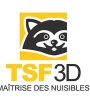 TSF 3D image 2
