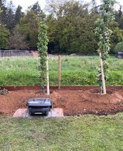 Grundstückspflege und Motorsägenkunst Colin Sand Bild 5