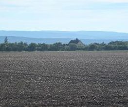 FriedWald Fahner Höhe Bild 1