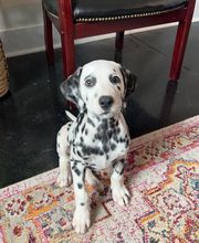 Cobb Hammett LLC image 1