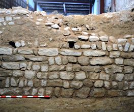 IN SITU SCP imagen 19