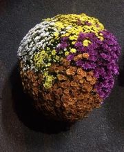 Vive Le Jardin image 16