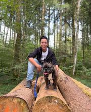 Focus Dogs Hundeschule KlG Bild 13