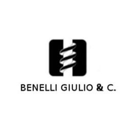 Benelli Giulio logo