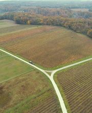 Citeau Christophe image 13