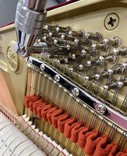 Bulanda Fanny image 3