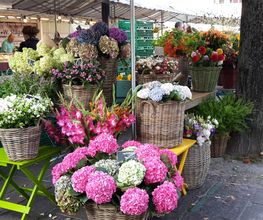 Blumen Müller Bild 9