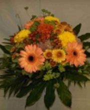 Blumen Jakob Bild 6