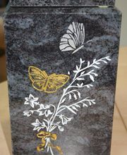 Guimbaud Robert image 4