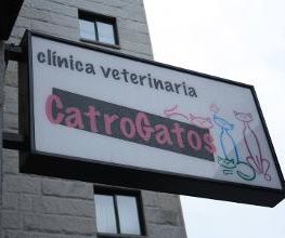 CATROGATOS imagen 10
