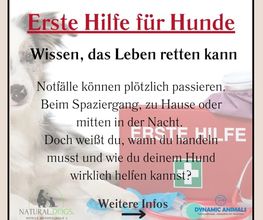natural.dogs. Bild 7