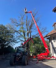 Passion Forêt SA Bild 7